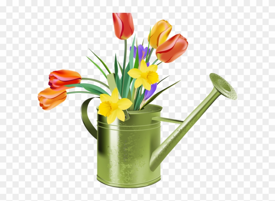Free Tulip Cliparts - Watering Can Flowers Clipart - Png Download