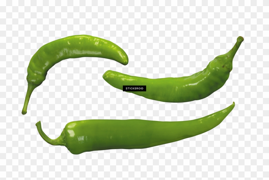 Bell Pepper Plant Png - Bird's Eye Chili Clipart