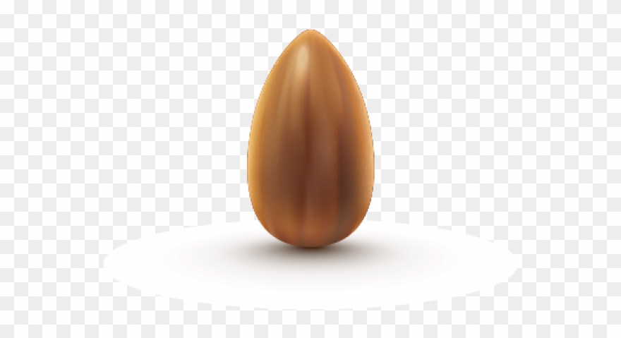 Popular Cliparts Page Dumielauxepices Net Seed One - Fruit - Png Download