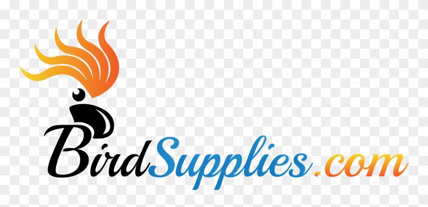 Illustration Clipart