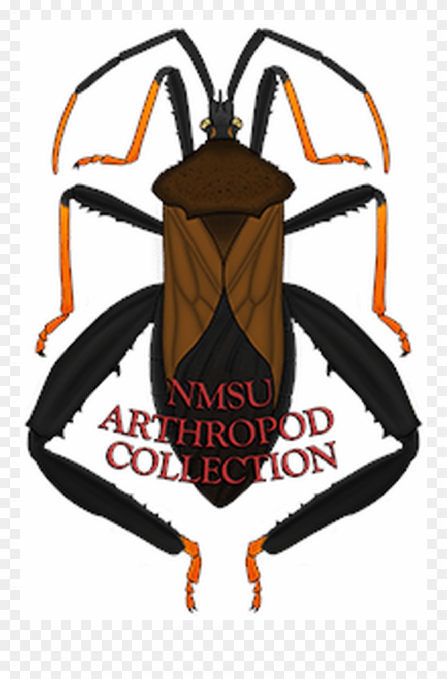 New Mexico State University Arthropod Museum Wiki, - Soldier Beetle Clipart