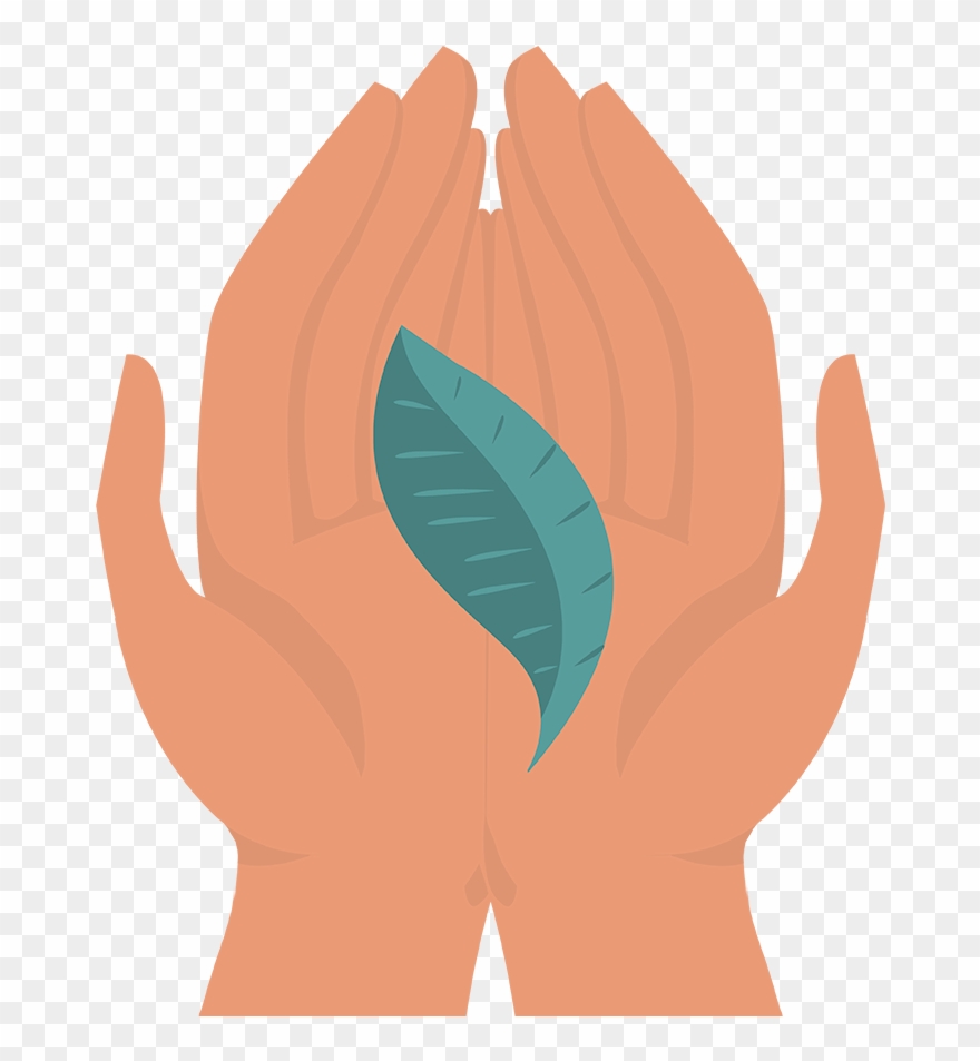 Illustration Clipart