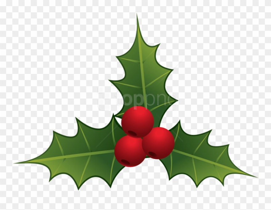 Download Mistletoe Clipart Png Photo Toppng Quirky - Mistletoe Clipart Png Transparent Png