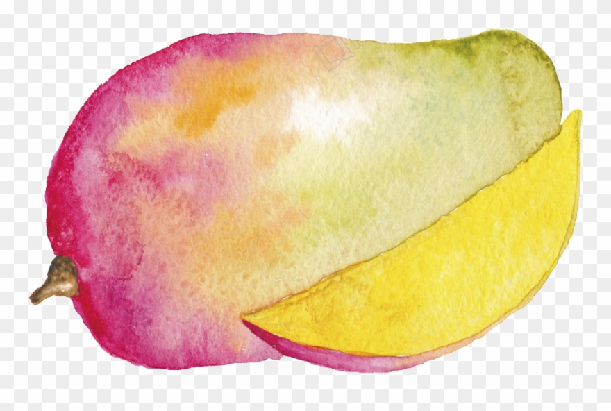 Hand Painted Cartoon - Mango Watercolor Drawing Png Clipart