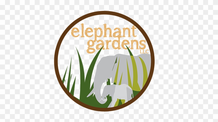 Community Empowerment Through Self-mastery - Illustration Clipart