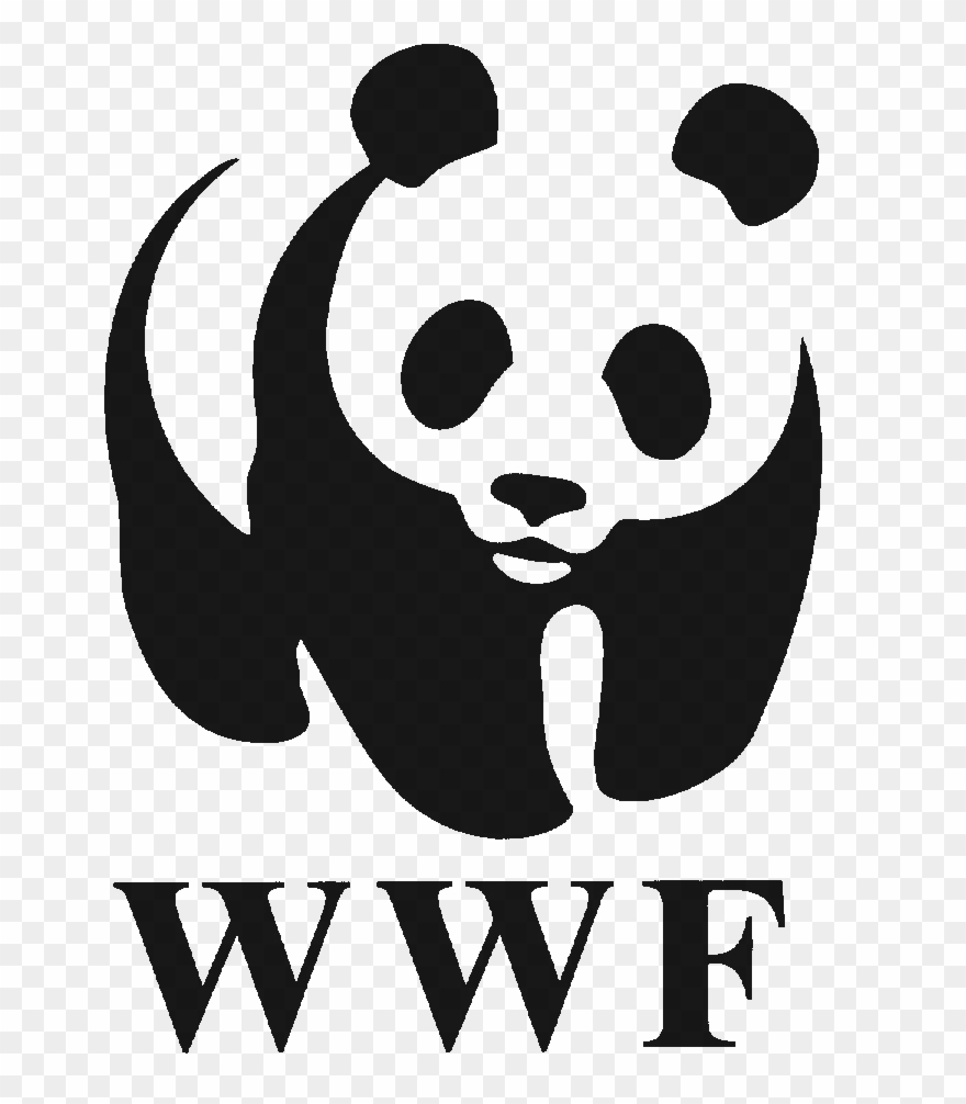 World Wildlife Foundation Logo Clipart
