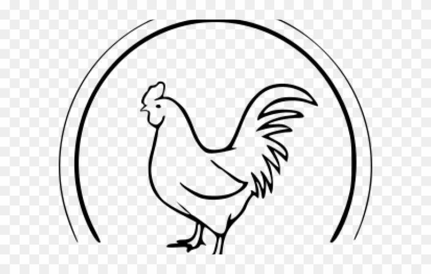 Drawn Chicken Farm Chicken - Line Drawing Of A Rooster Clipart