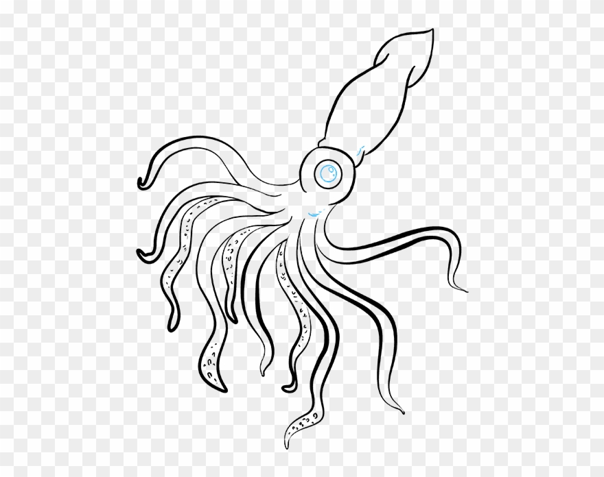 Great Migration Drawing Squid Transparent & Png Clipart - Easy Giant Squid Drawings
