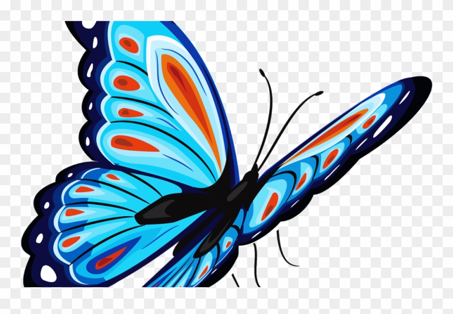 Jfg Properties Llc Full Hd Butterfly Png Clipart (4548271) PinClipart
