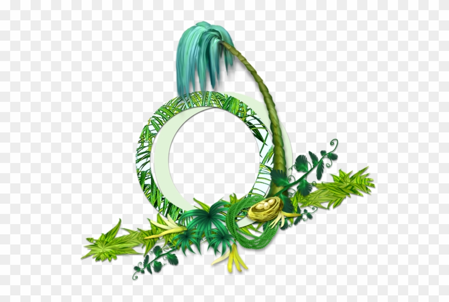 กรอบ ภาพ ต้นไม้ วงกลม Clipart