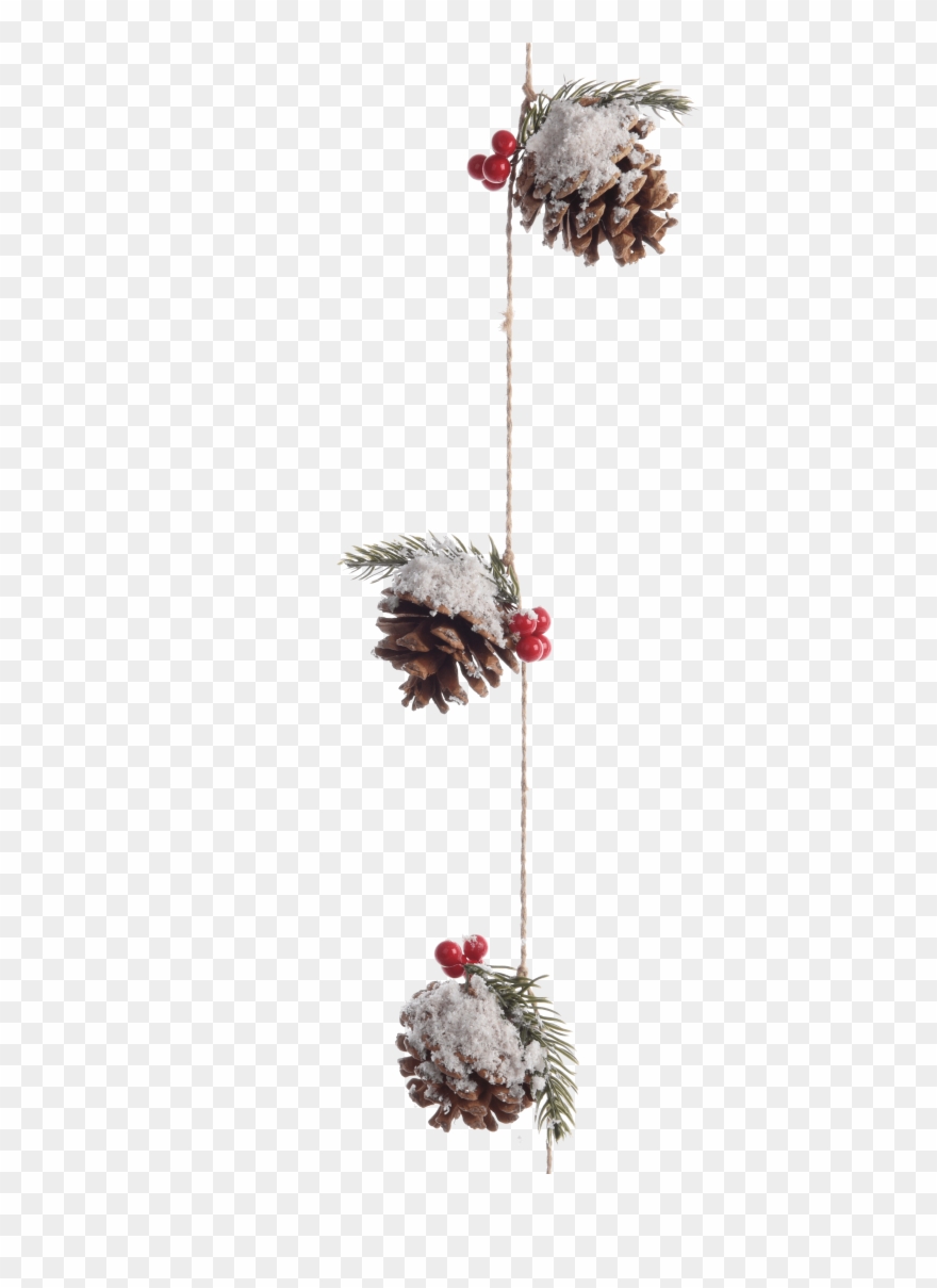 Käthe Wohlfahrt Online Shop Zapfen Girlande Mit Beeren - Oregon Pine Clipart