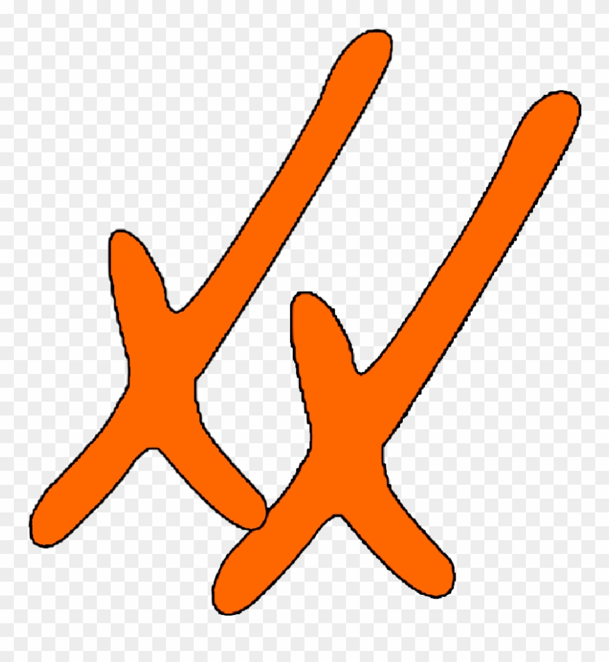 Papadoxx Fotografie Clipart