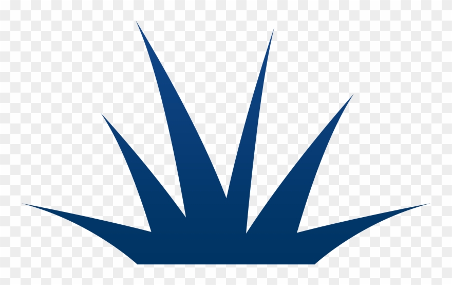 Für Einen Erstklassigen Rasen Ist Hochwertiges Saatgut - Emblem Clipart