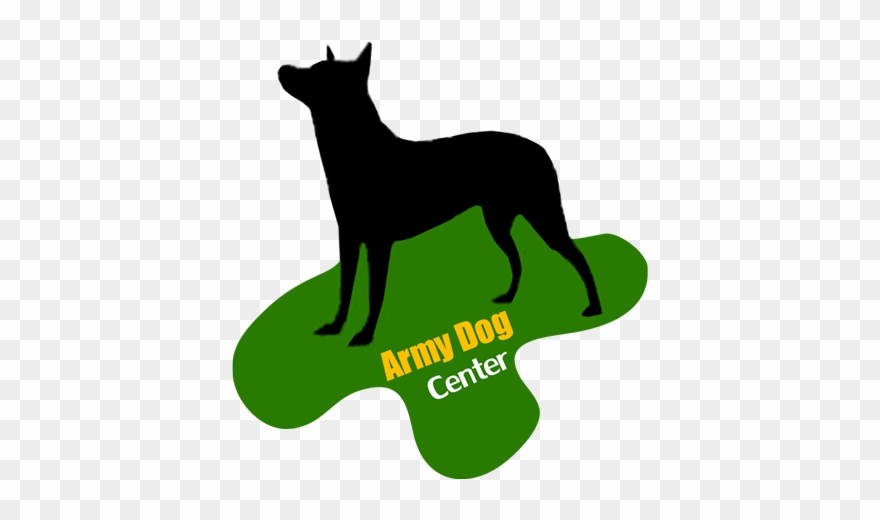 2019 The Ultimate Revelation Of Dog - Black Cat Clipart