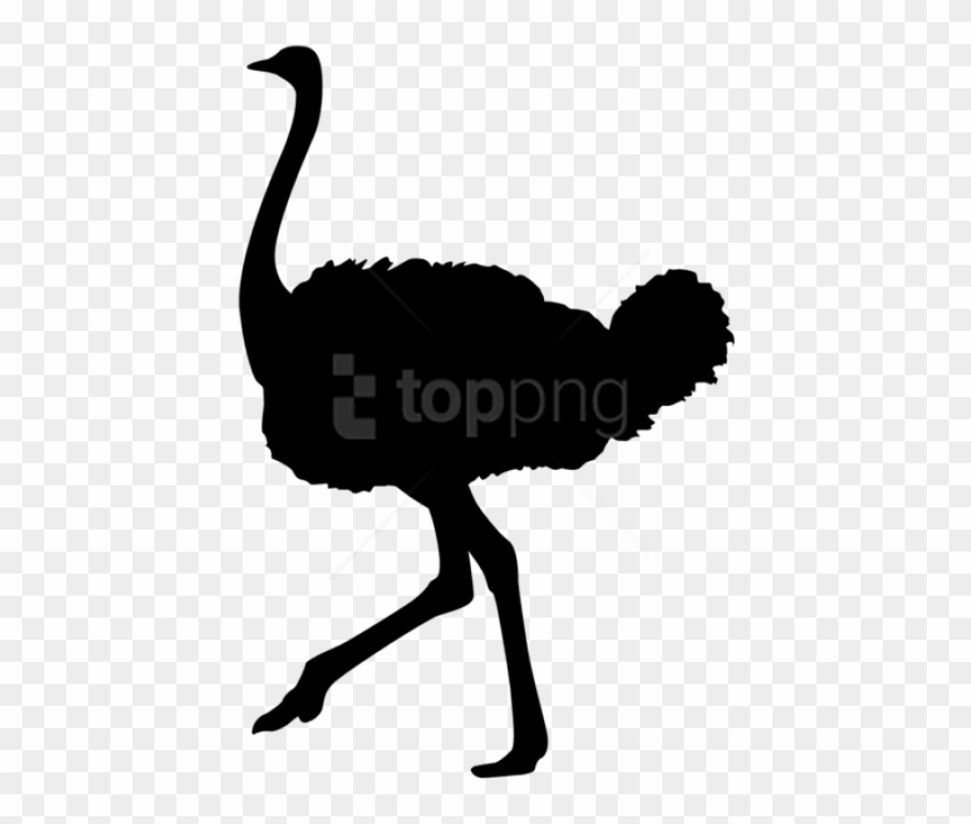 Free Png Ostrich Silhouette Png - Autruche Périgourdine Clipart