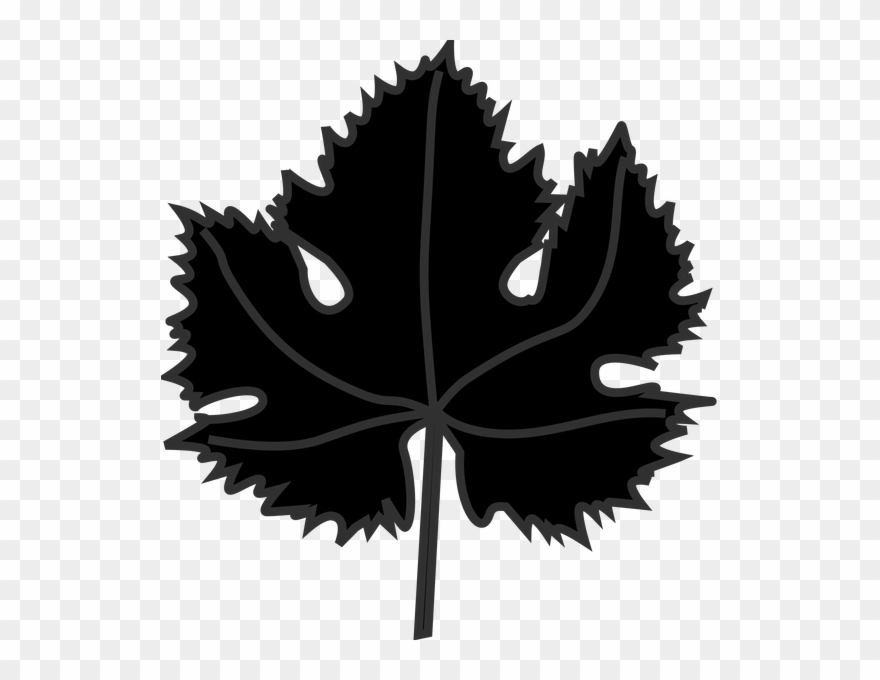 Image Freeuse Clipart Vines Download Wallpaper Full - National Beta Club - Png Download