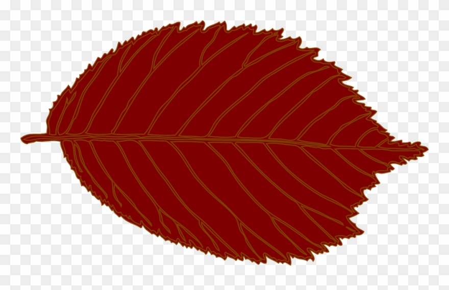 Brown Leaf Clip Art , Png Download Transparent Png