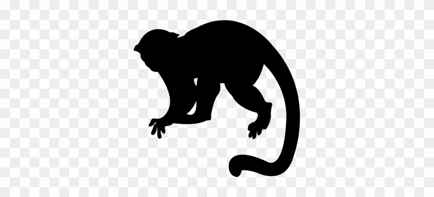 Monkey Silhouette Png - Capuchin Monkey Silhouette Png Clipart