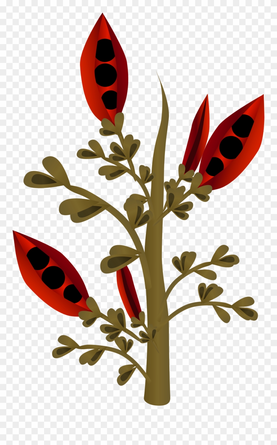 This Free Icons Png Design Of Firebog Firebean 1 - Plants Clipart