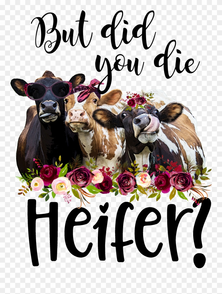 Heifer Clipart - Png Download