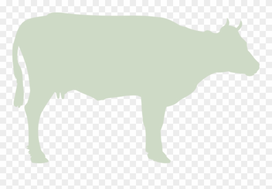 Siğircilik - Cattle Clipart