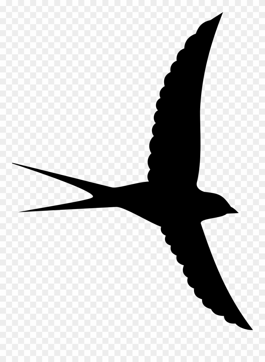 Bird Silhouette Png Clipart Image Transparent Png