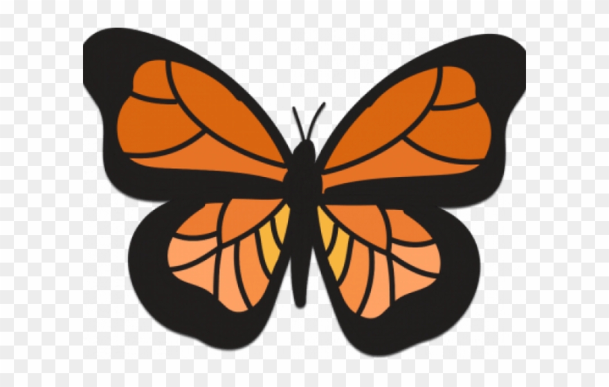 Monarch Butterfly Clipart Orange Free Clip Art Stock - Symmetry In Non Living Things - Png Download