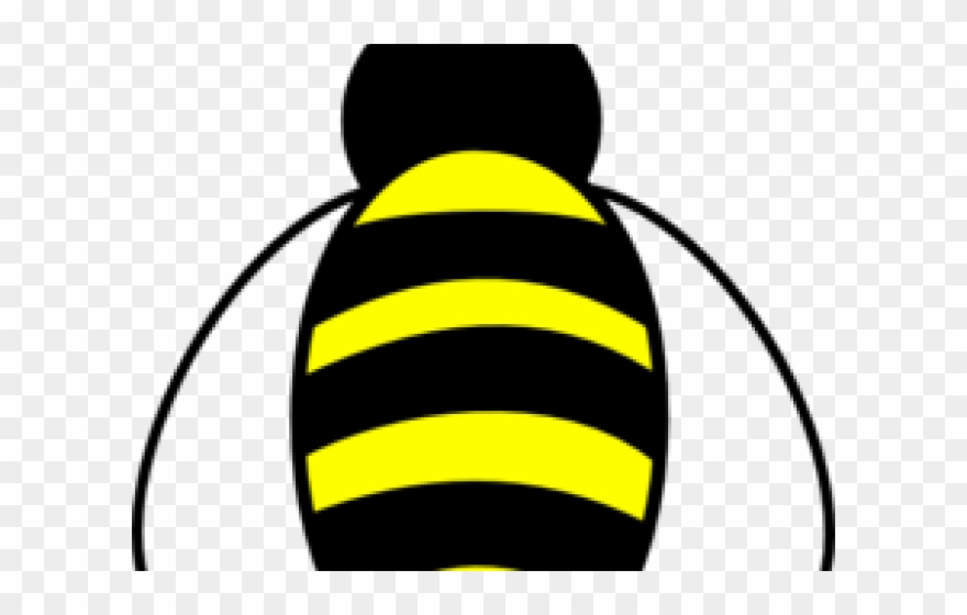 Antenna Clipart Bumble Bee - Bumble Bee Clipart - Png Download
