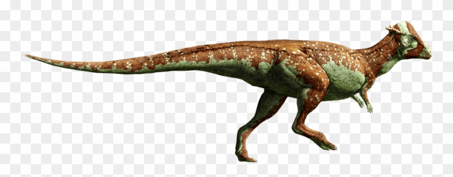 Jurassic World Pachycephalosaurus Clipart