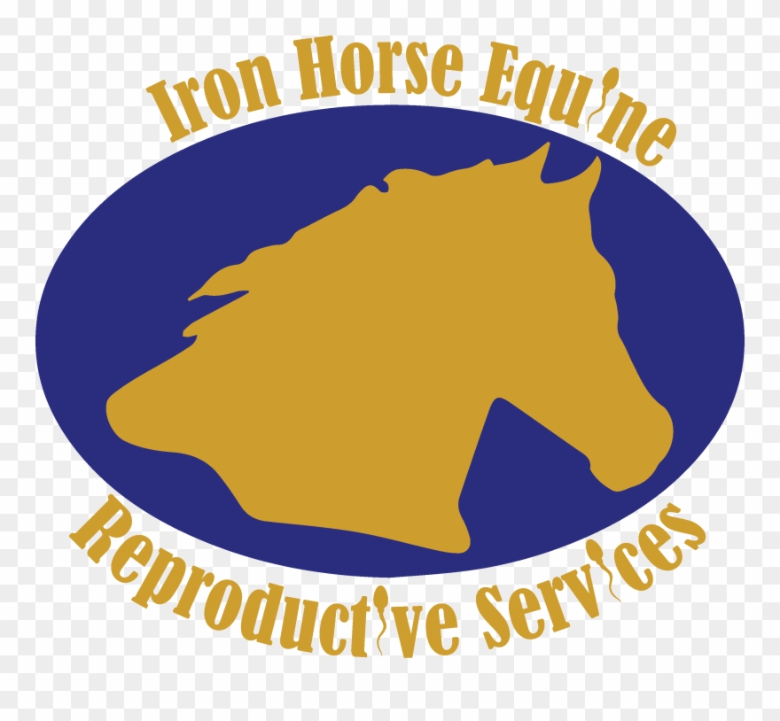 Services Iron Horse Equine Clipart