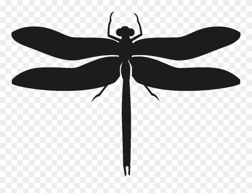 Insects Set [silhouette] Png - Dragonfly Clipart