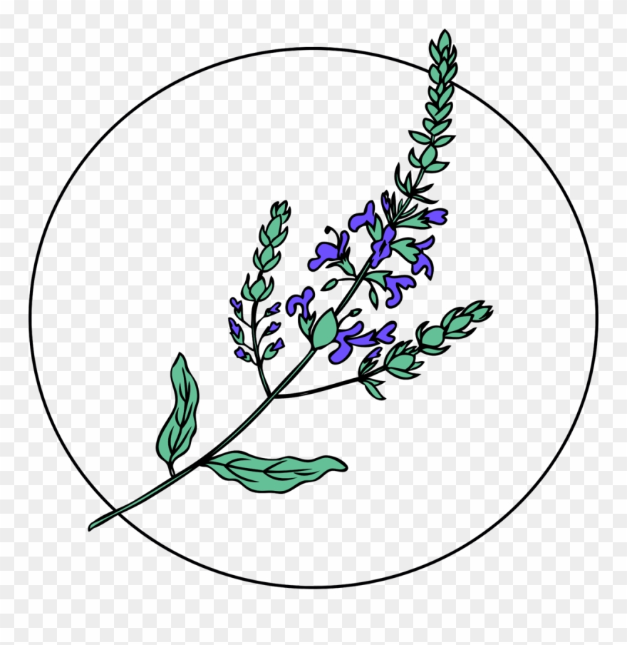 Clip Art - Png Download