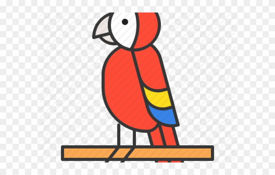 Parrot Clipart Zoo - Cartoon - Png Download