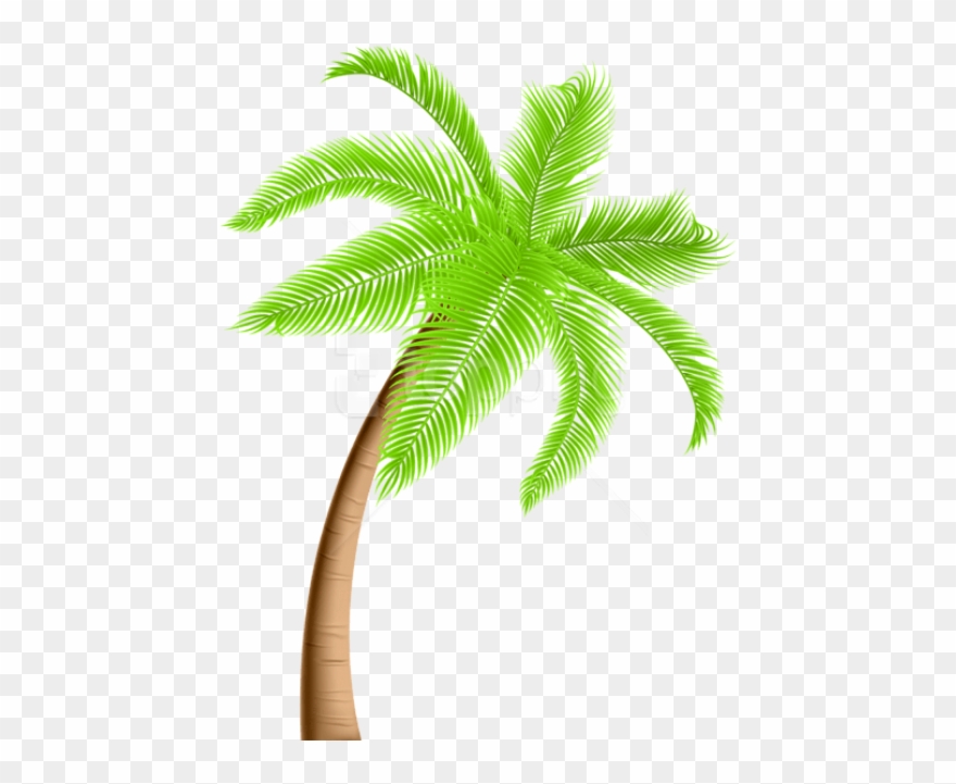 Download Palm Tree Png Png Images Background - Palm Tree Clipart Png Transparent Png