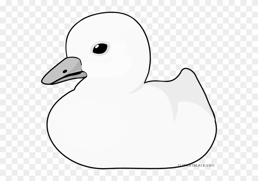 Cartoon Duck Animal Free Black White Clipart Images - Cartoon Duck - Png Download
