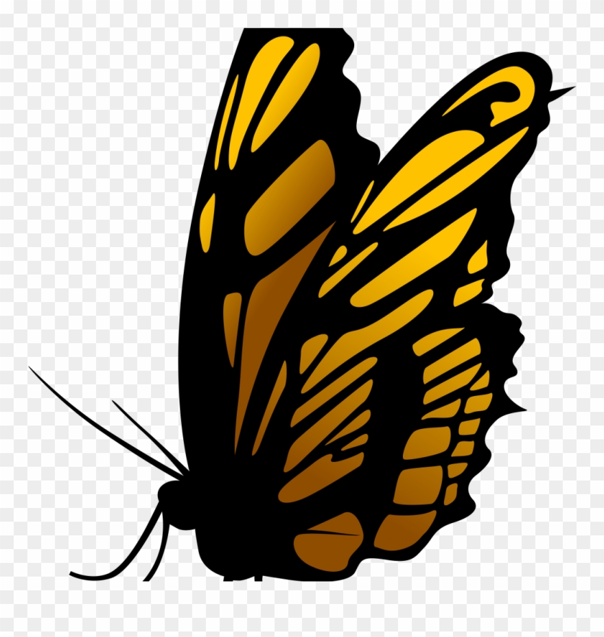 Clip Art - Png Download