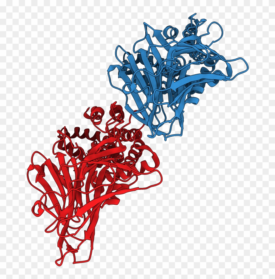 Asymmetric Unit - Illustration Clipart