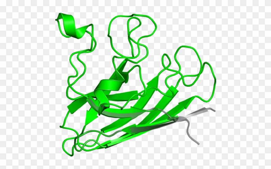 Illustration Clipart