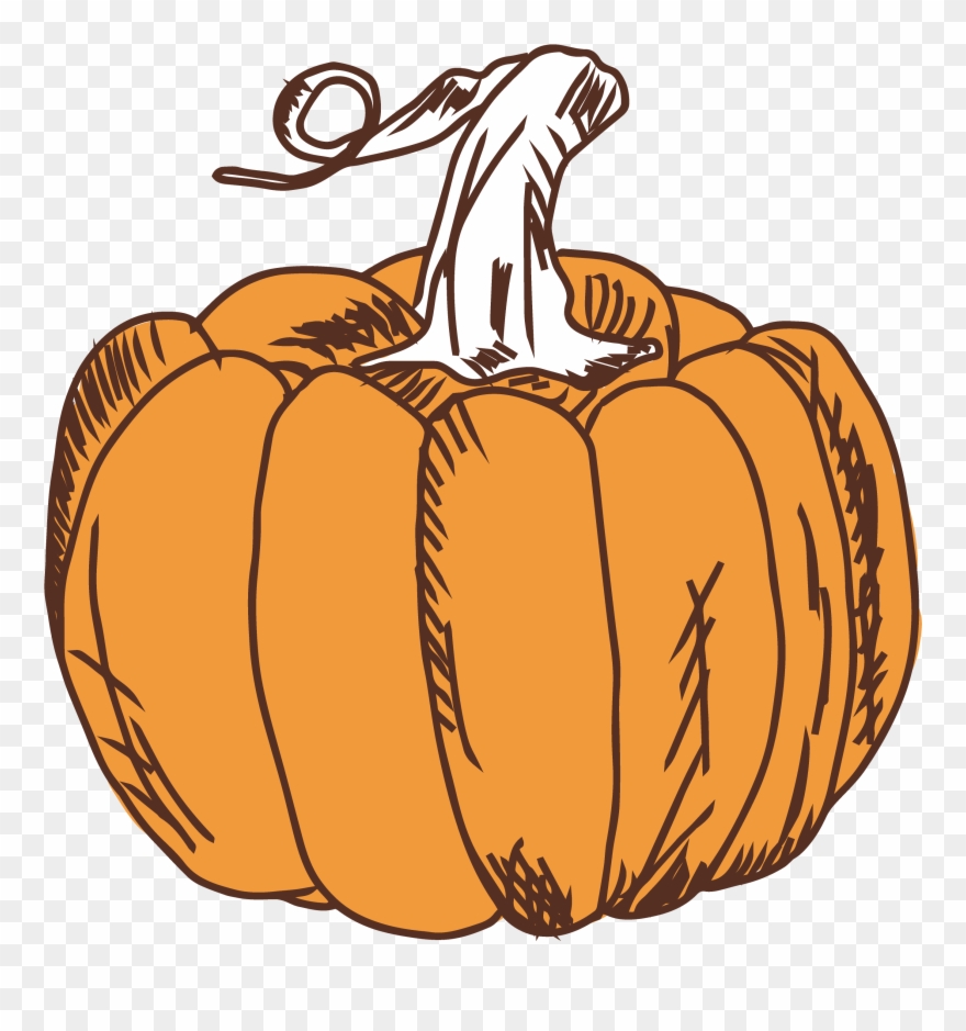 Field Clipart Pumpkin Field - Pumpkin - Png Download
