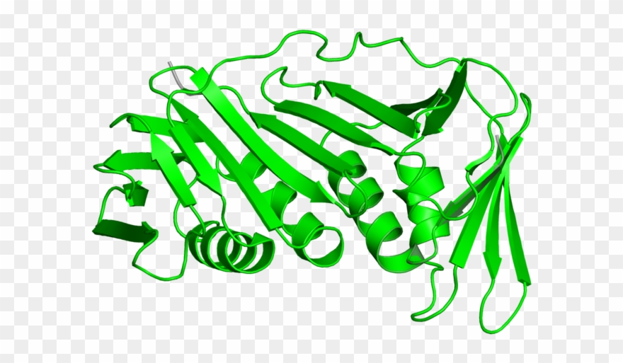 <div Class='caption-body'>2 Copies Of Cath Domain < - Calligraphy Clipart