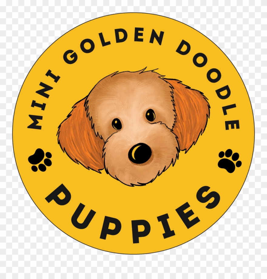 Mini Goldendoodle Puppies For Sale - Milky Way Blue Eyes Blog Clipart