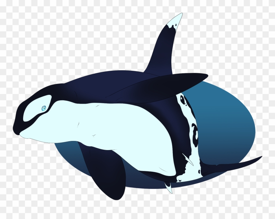Big Man By Wolf Malfunction - Killer Whale Clipart