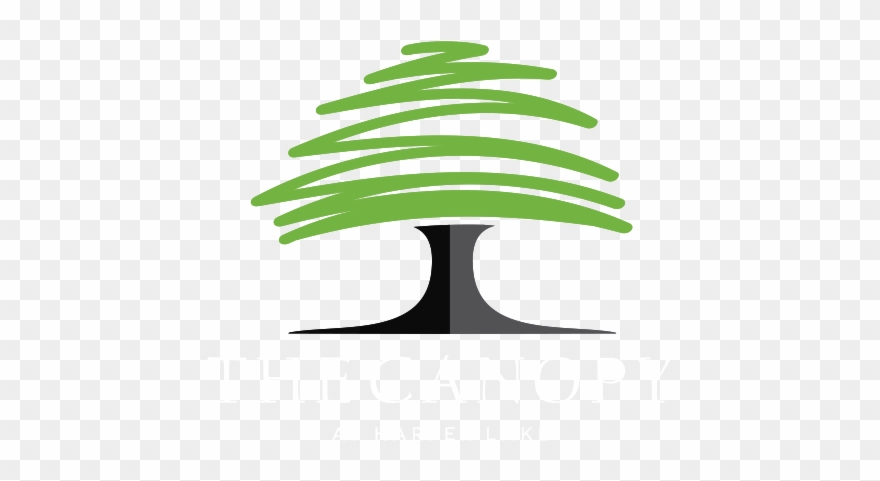 Assisted Living Home, The Canopy, Lake City North Florida - Canopy At Harper Lake Clipart
