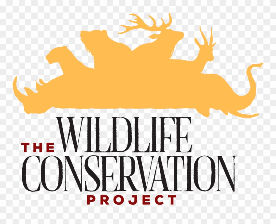 Illustration Clipart