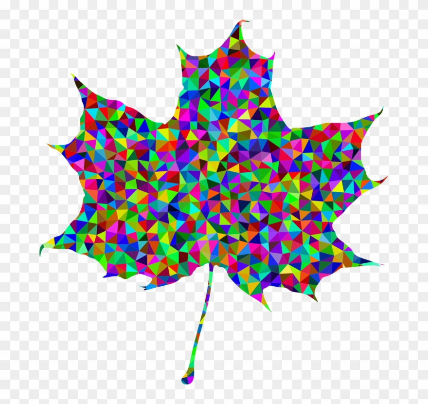 Maple Leaf Sugar Maple Computer Icons Japanese Maple - Clipart Pictures Maple Leaf - Png Download