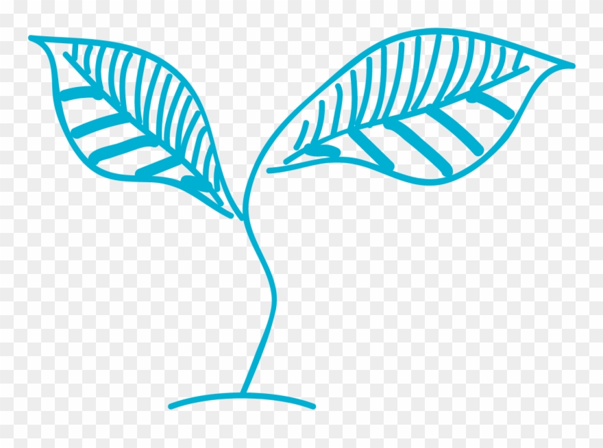 Training Is A Foundation For The Future - Training Clipart