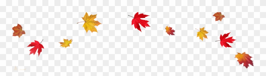 Register Here - Fall Border Transparent Background Clipart