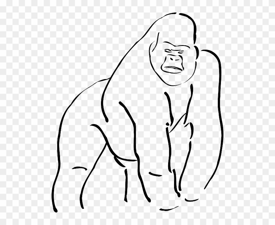 Outline Of A Gorilla Gorilla Silhouette Free Vector - Cross River Gorilla Outline Clipart
