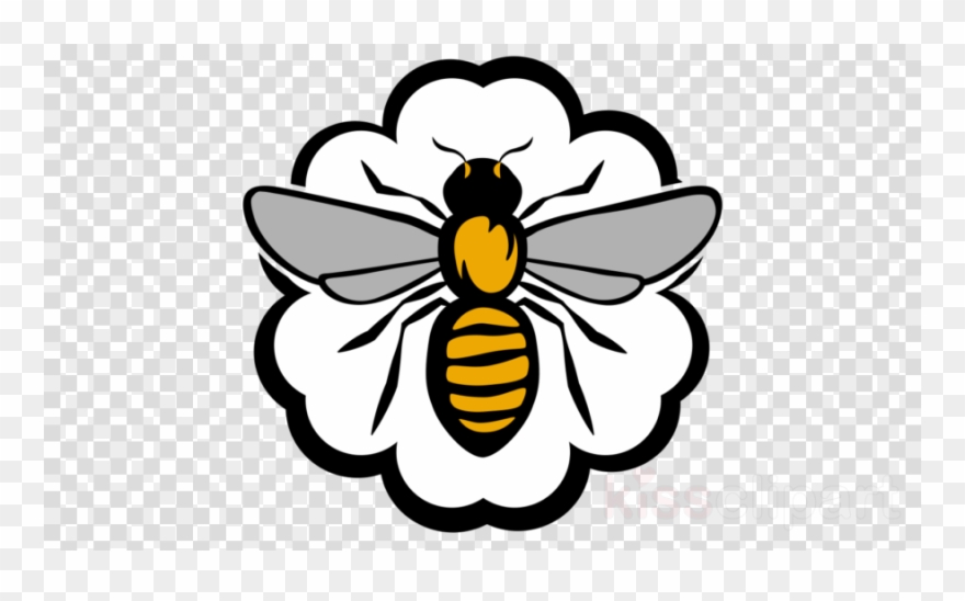 Honey Bee Clipart Honey Bee - Philippines Flag Ong - Png Download