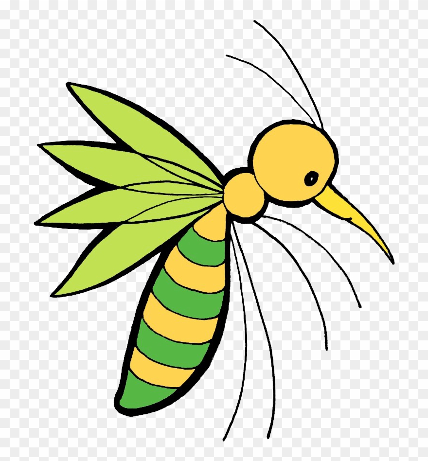 Honey Bee Insect Art - Mücke Png Clipart
